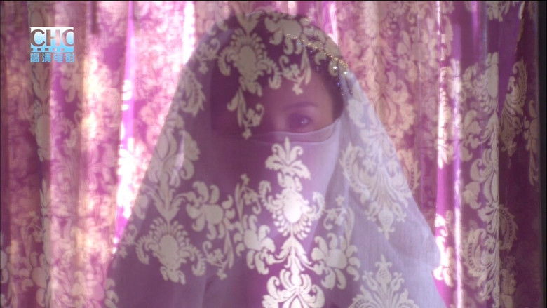 кадр из фильма 镖行天下8：瞒天过海