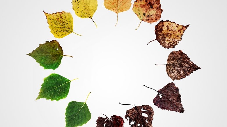 кадр из фильма Alternate Endings: Six New Ways to Die in America