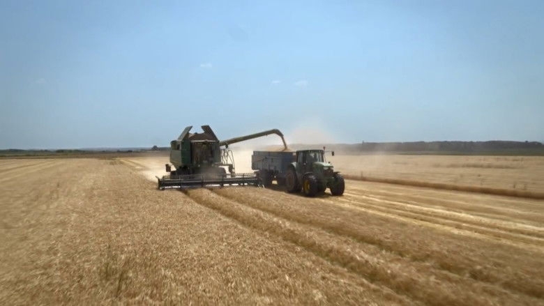 кадр из фильма Nous paysans