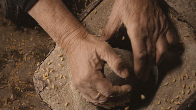 кадр из фильма Şîn