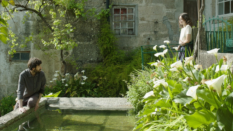 кадр из фильма A Sibila