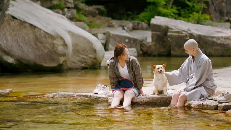 кадр из фильма 문경