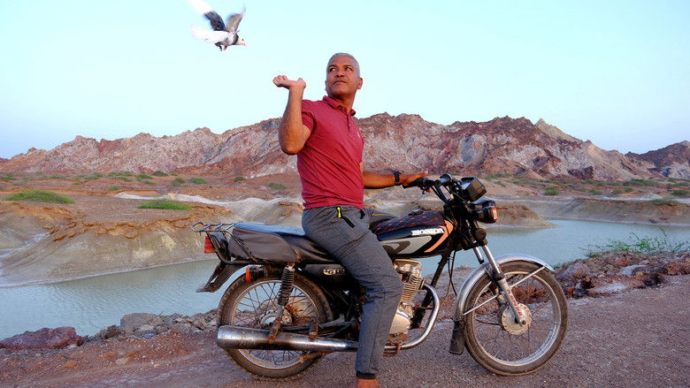 кадр из фильма Companion