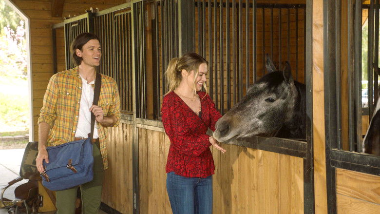 кадр из фильма Hearts Under the Olive Tree