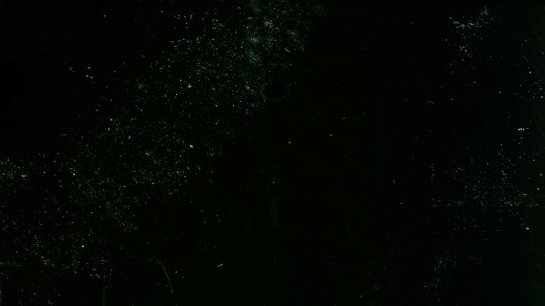 кадр из фильма Here are some Images