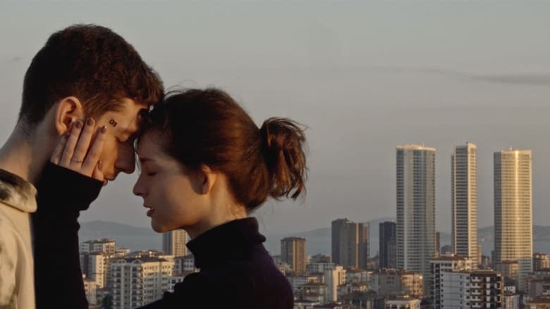 кадр из фильма H.O.M.E.