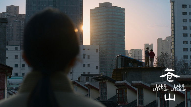 кадр из фильма 苍山