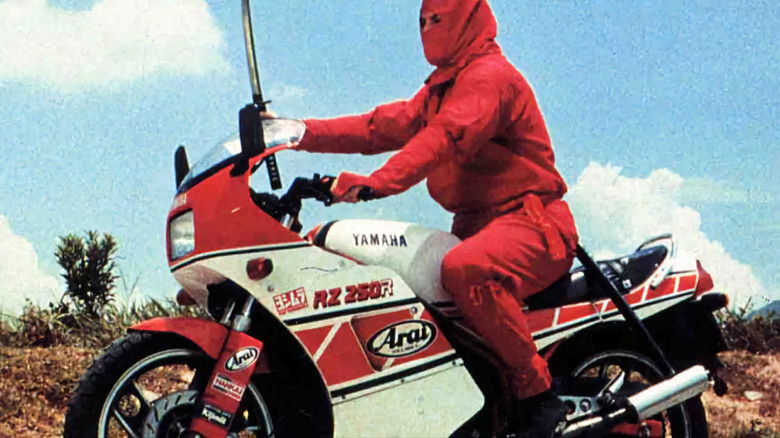 кадр из фильма Ninja the Protector