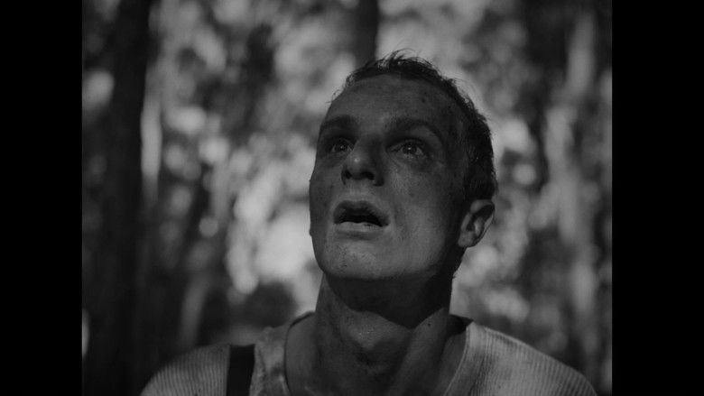 кадр из фильма Before We Sleep