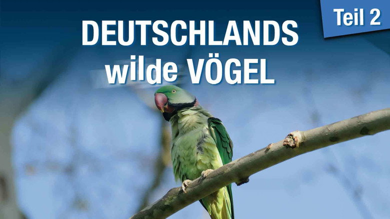 кадр из фильма Deutschlands Wilde Vögel 2
