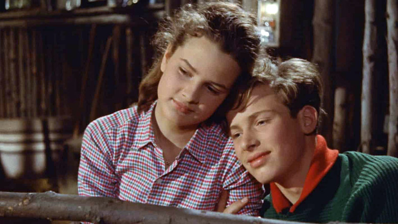 кадр из фильма Девушки из Имменхофа