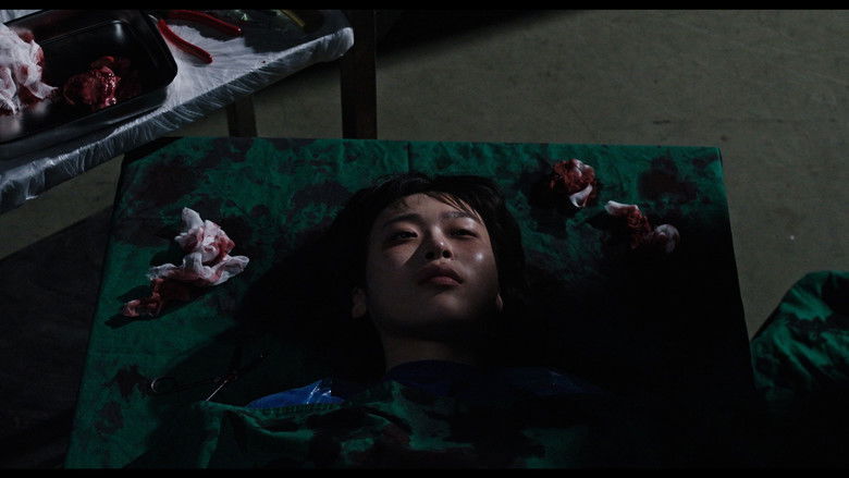 кадр из фильма How to Kill a Vampire