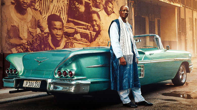 кадр из фильма Africa Mia