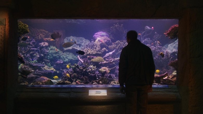 кадр из фильма Relaxing Old Footage With Joe Pera