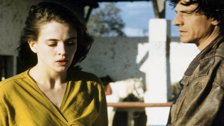 кадр из фильма Ginevra