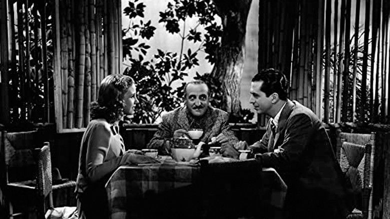 кадр из фильма El solterón