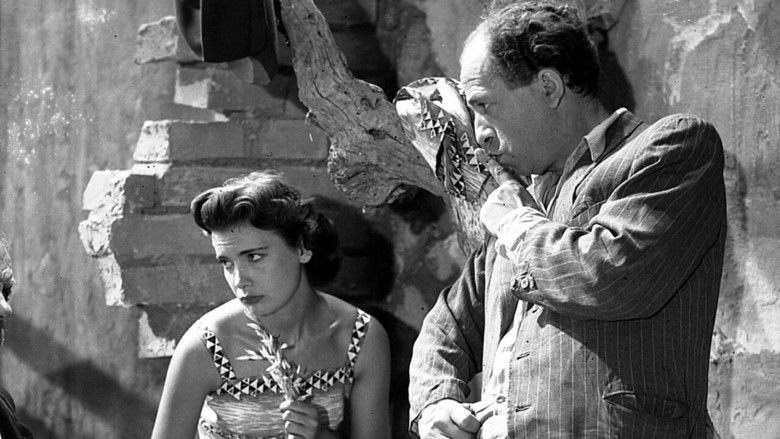 кадр из фильма Λατέρνα, Φτώχεια και Γαρύφαλλο