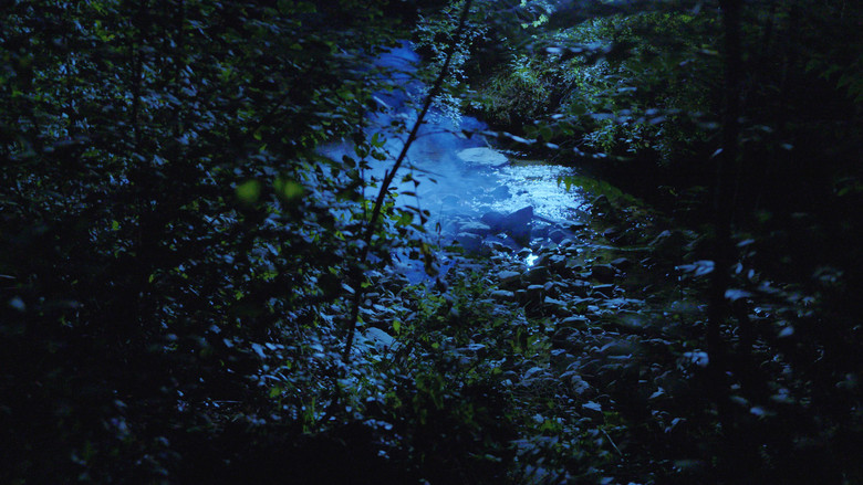 кадр из фильма L'Îlot