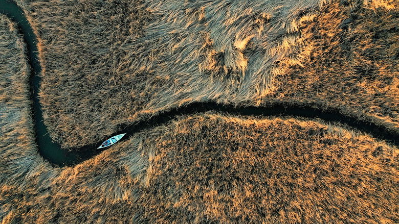 кадр из фильма Jóreménység-sziget