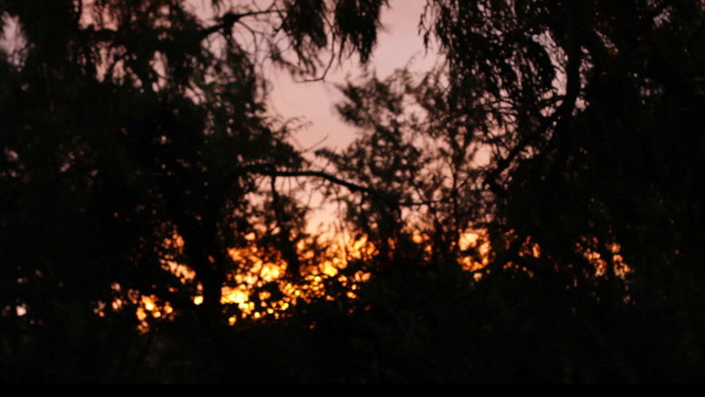 кадр из фильма Soñando Martín