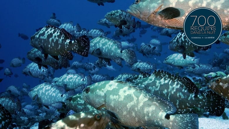 кадр из фильма 700 requins dans la nuit  (Gombessa 4, la genèse)