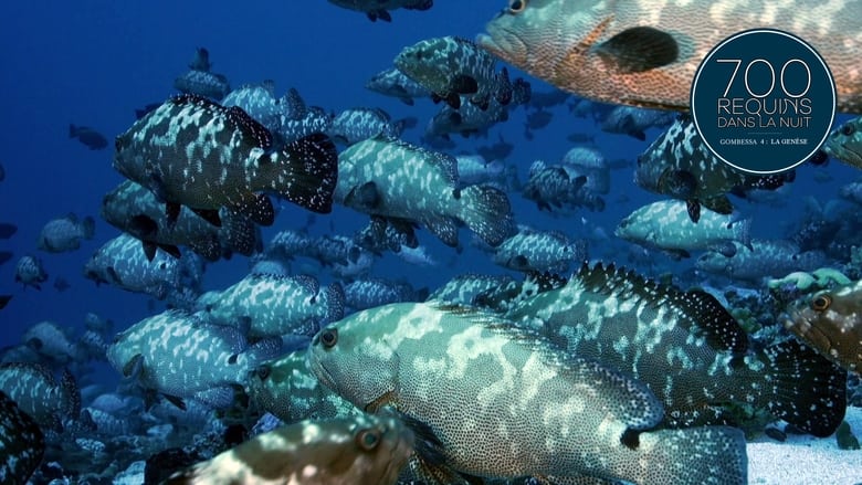 кадр из фильма 700 requins dans la nuit  (Gombessa 4, la genèse)