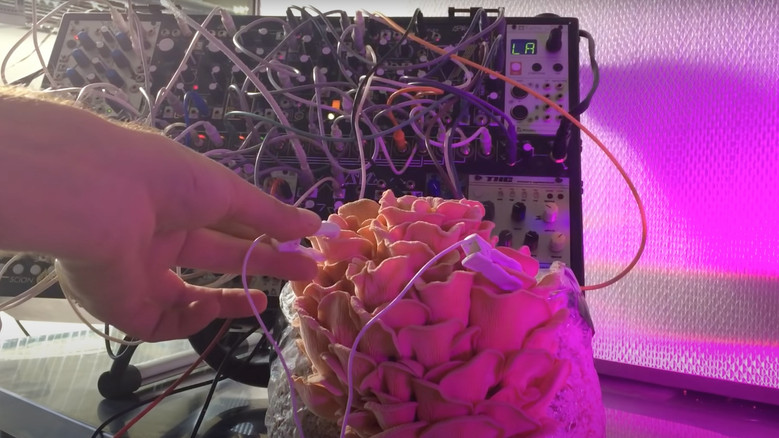 кадр из фильма Green Grey Black Brown