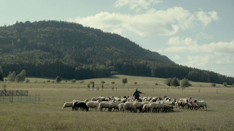 кадр из фильма Zvlčeni