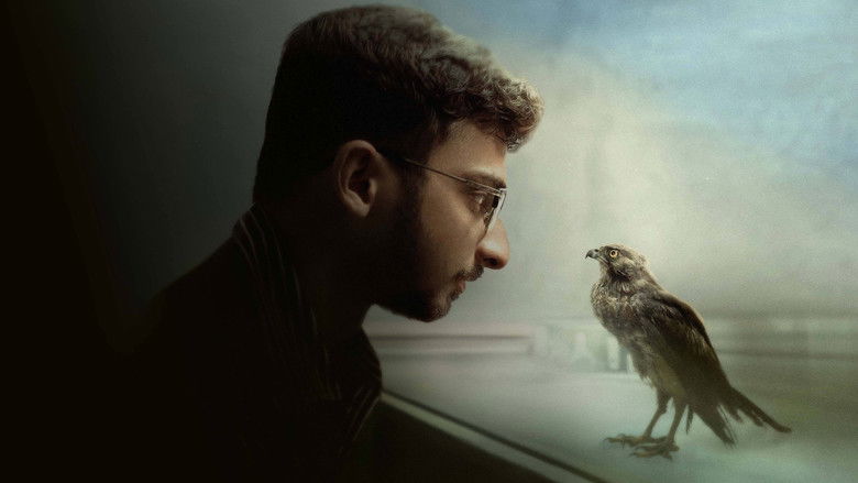 кадр из фильма All That Breathes