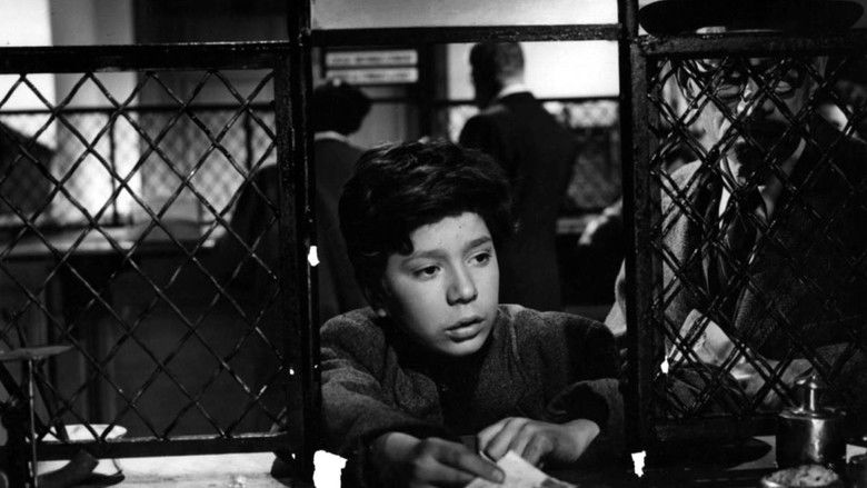 кадр из фильма Бродячие собаки без ошейников