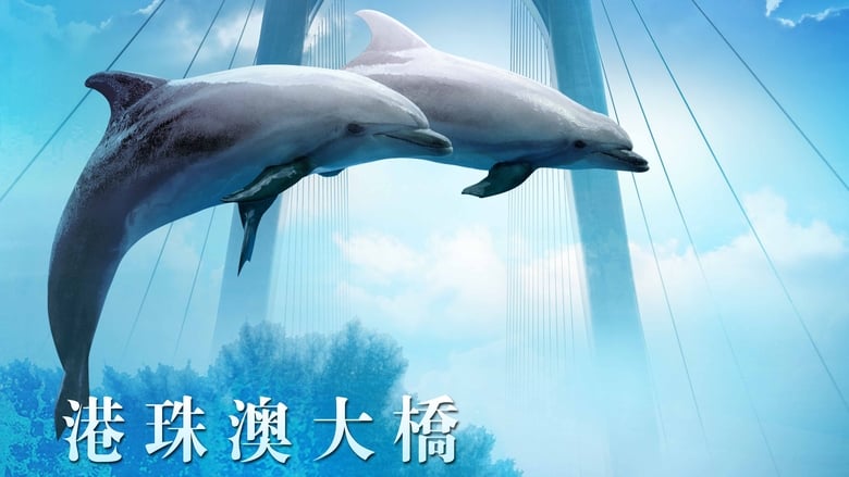 кадр из фильма 港珠澳大桥