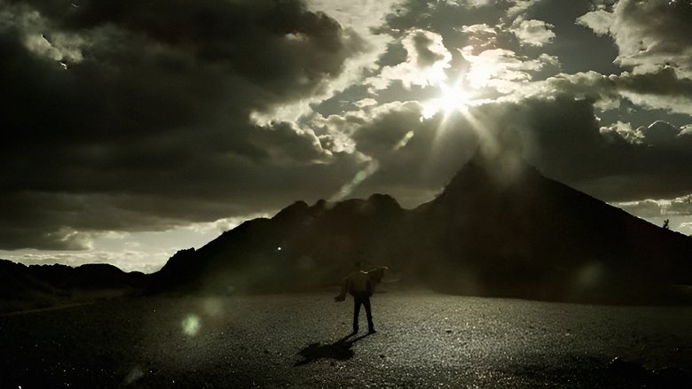 Tigres de noche, arena de día