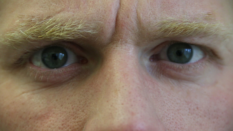 кадр из фильма The Separate System