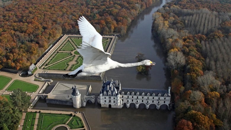 кадр из фильма Le Plus Beau Pays du Monde