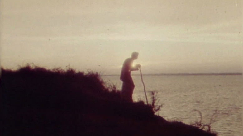 кадр из фильма Дальше полёта стрелы