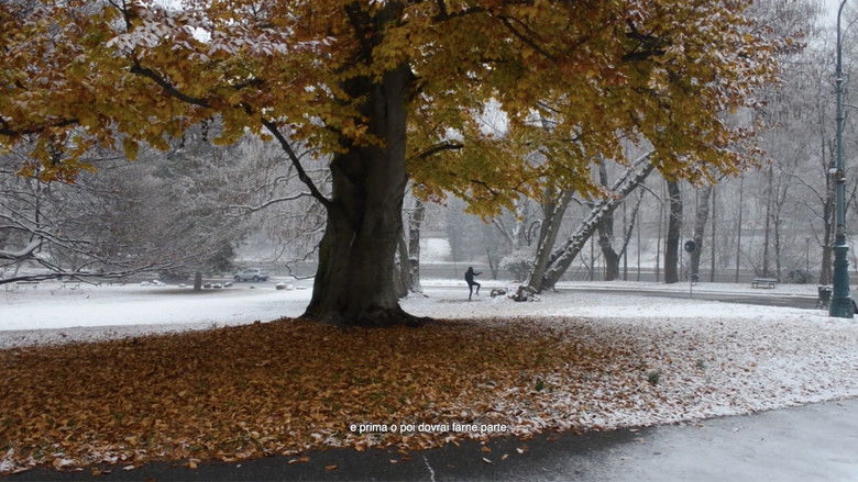 кадр из фильма Origini