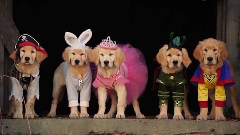 кадр из фильма Мистическая пятерка