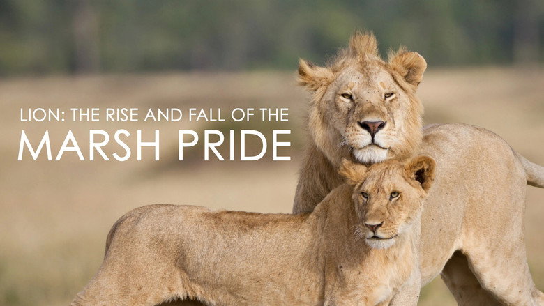 кадр из фильма Lion: The Rise and Fall of the Marsh Pride