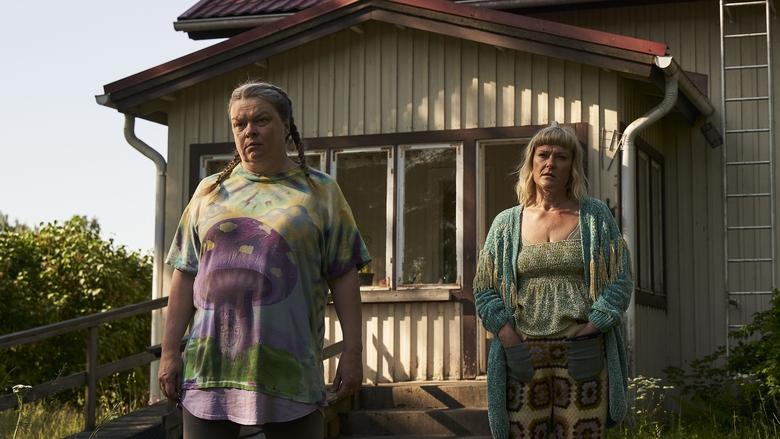 кадр из фильма 100 litraa sahtia