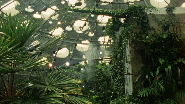 кадр из фильма Fractais Tropicais