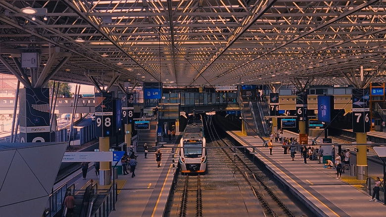 кадр из фильма the days were shorter than i remember