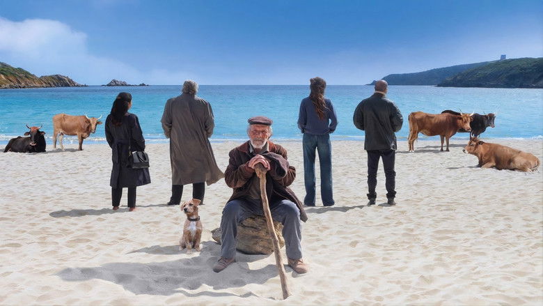 кадр из фильма La vita va così