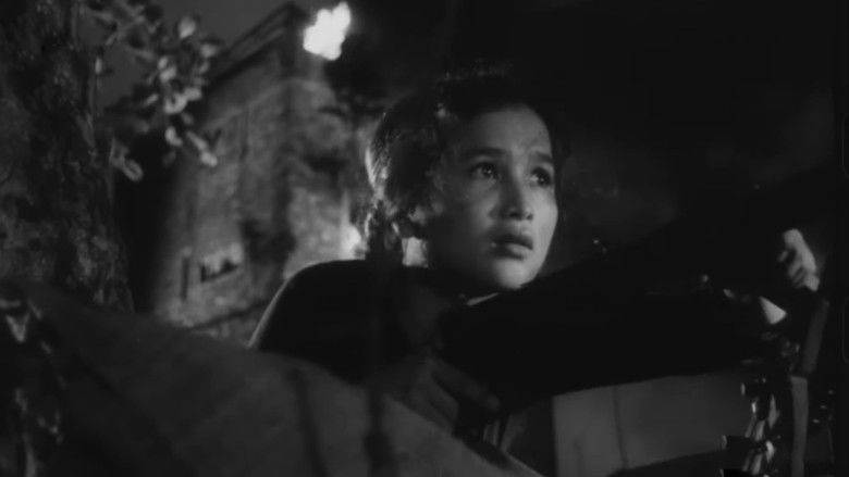 кадр из фильма Женщина с южного берега