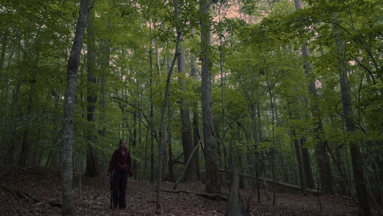 кадр из фильма Echoes of the Absent