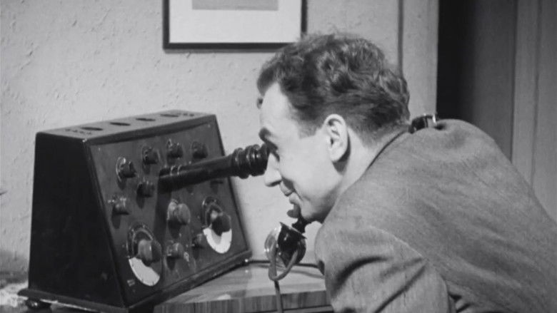 кадр из фильма Fredek uszczęśliwia świat