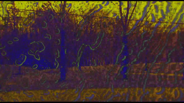 Joose Psychedelia Test