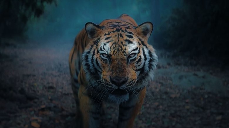 кадр из фильма ಕಾಂತಾರ: ಅಧ್ಯಾಯ - ೧