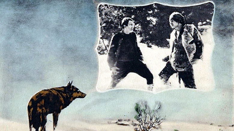 кадр из фильма The Man from Hell's River