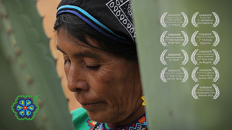кадр из фильма Huicholes: Los Últimos Guardianes del Peyote