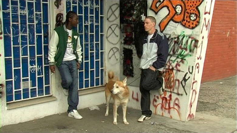 кадр из фильма João e o Cão